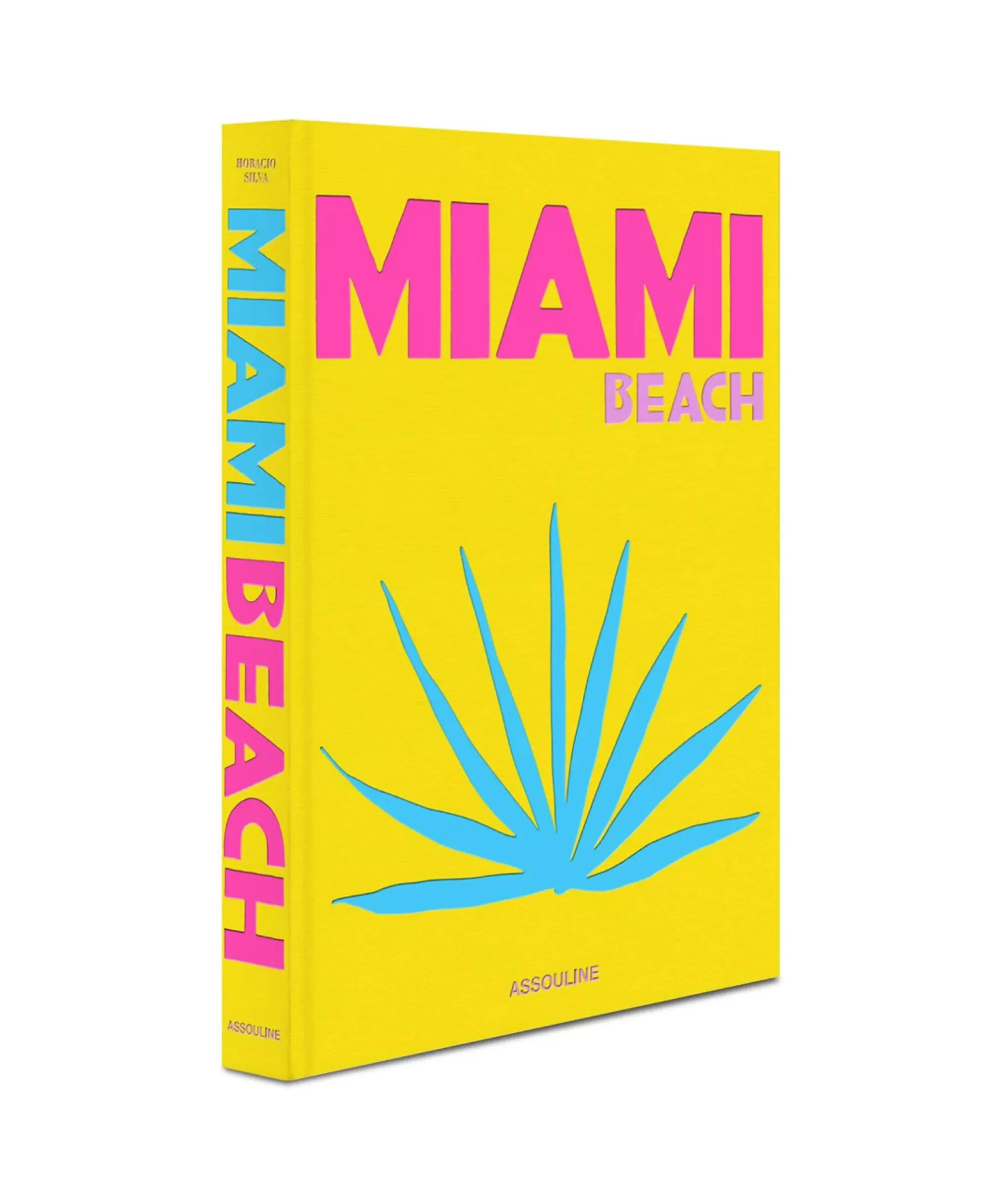 Lifestyle*Assouline Boek Miami Beach Diversen