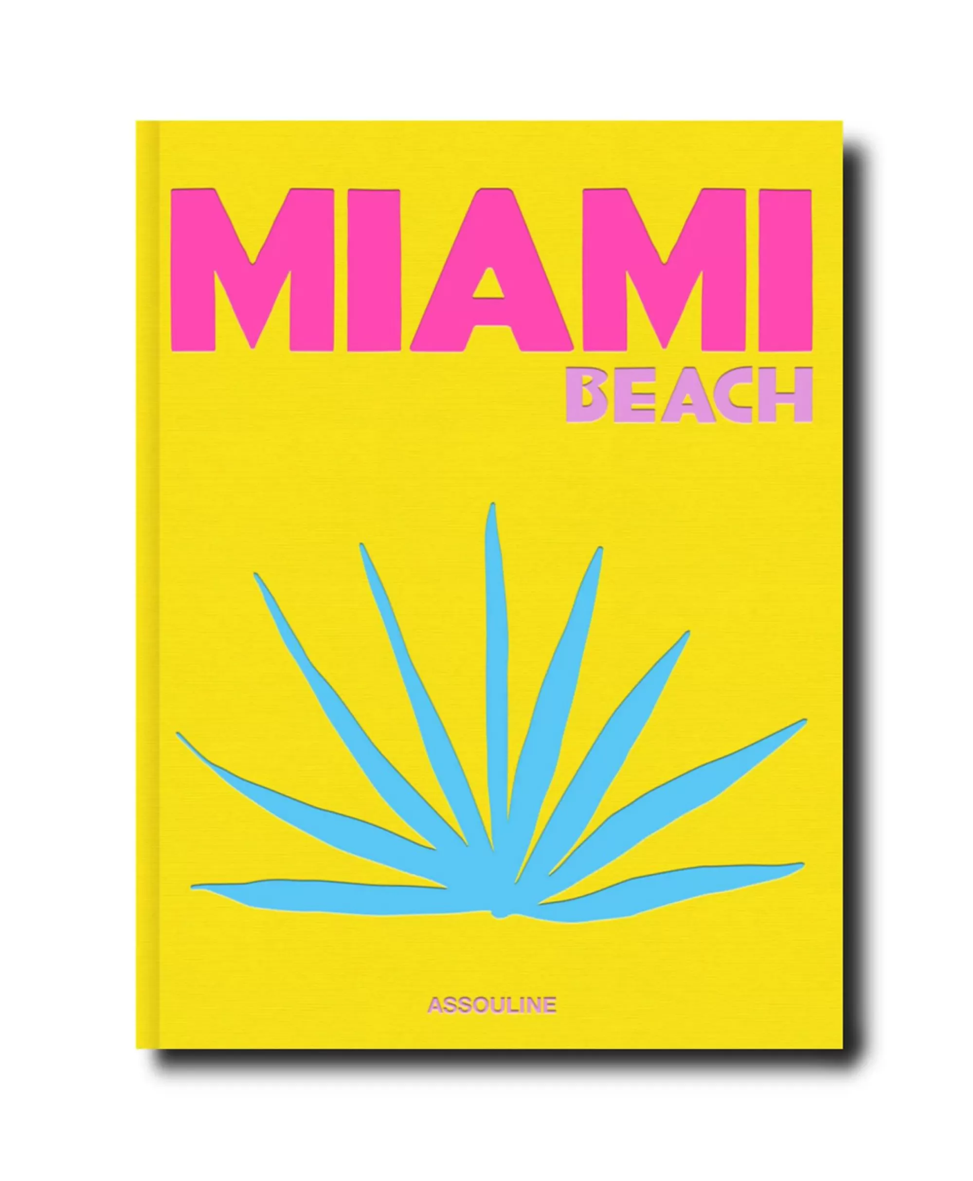 Lifestyle*Assouline Boek Miami Beach Diversen